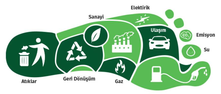 Karbon Ayak İzi Hangi Sektörlerde Zorunludur?