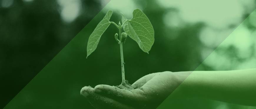 Çevre Danışmanlık Firması Seçerken Yapılan Kritik Hatalar