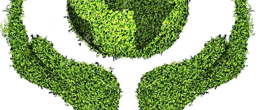 Sürdürülebilir Çevre Yönetimi Neden Rekabet Avantajı Sağlar?