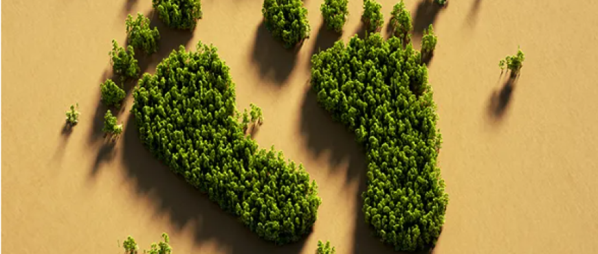 Kurumsal Karbon Ayak izi